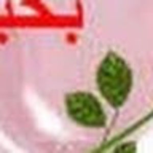 Meet your Posher, Bibi